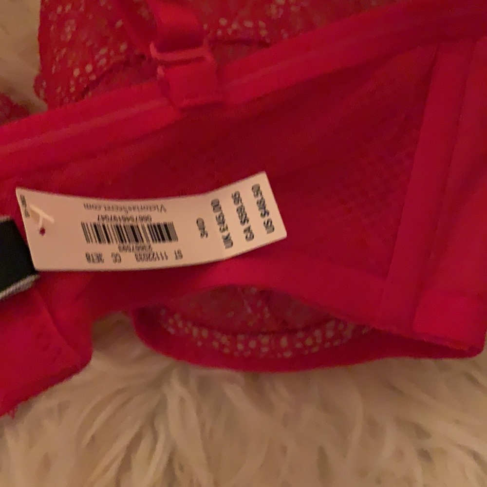 NWT vs bra - Picture 4 of 5